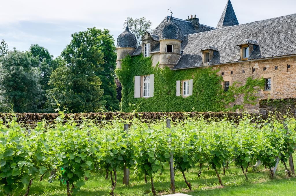 Château de Labro - Les Collectionneurs Onet-le-Château Exterior foto