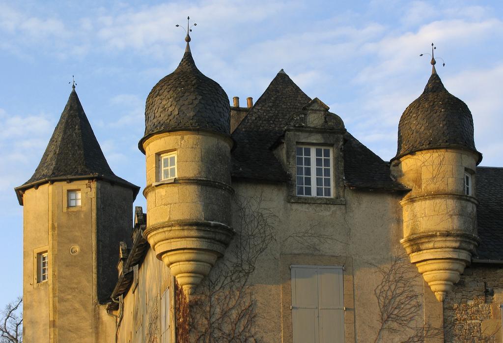 Château de Labro - Les Collectionneurs Onet-le-Château Exterior foto